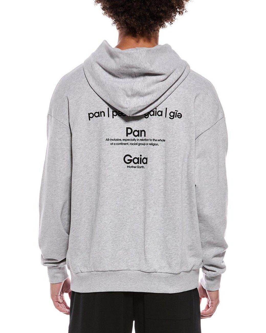 PANGAIA Gray Hoodie for men