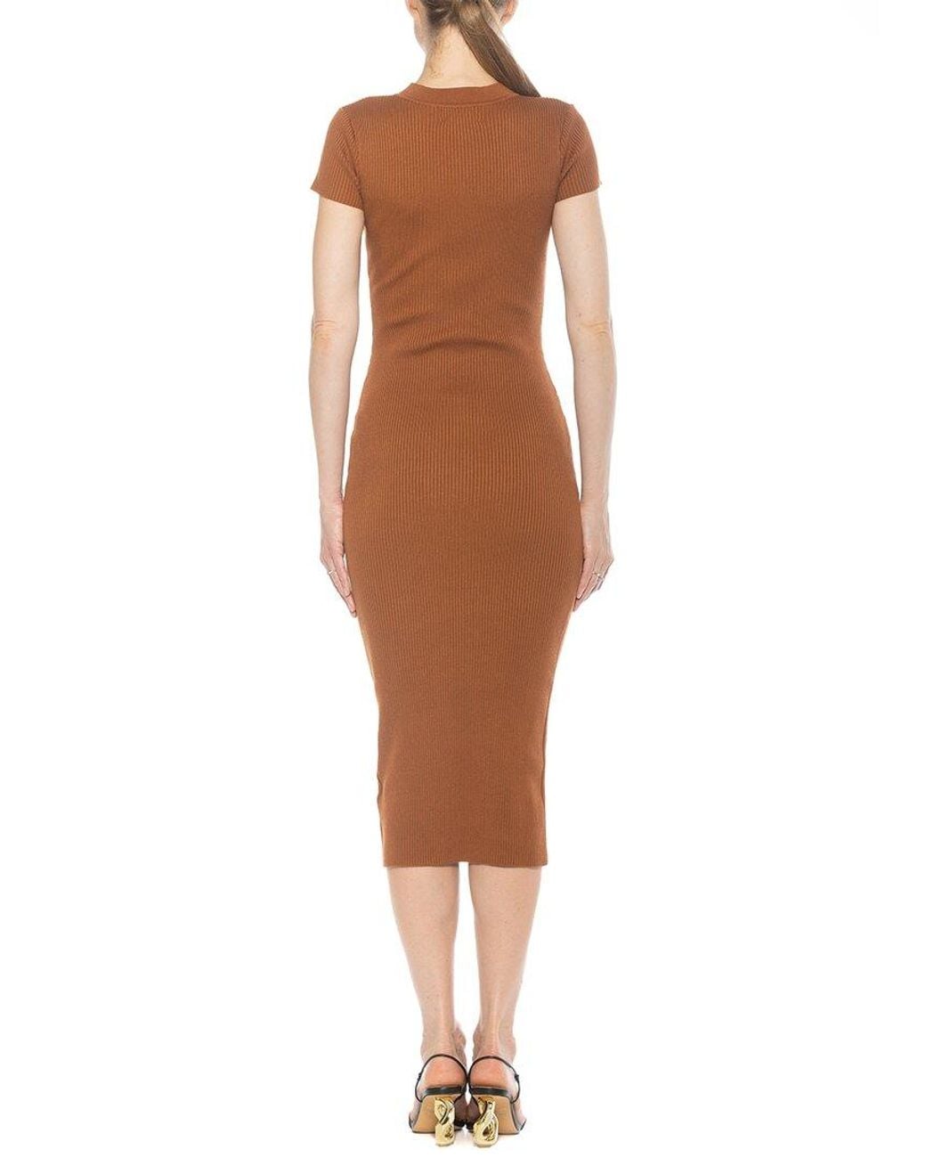 Alexia Admor Brown Rhys Sheath Dress