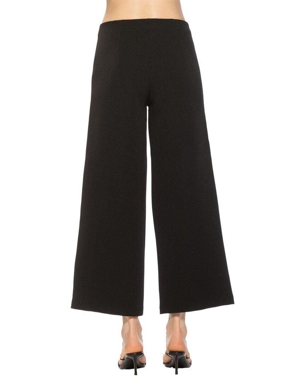 Alexia Admor Black Lucia Pant