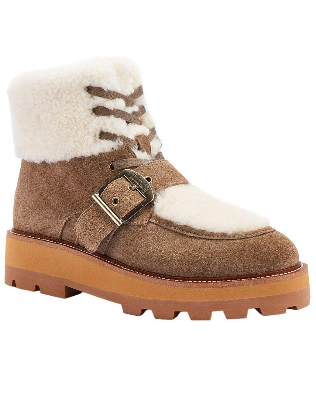Australia Luxe Brown Todos Suede Boot