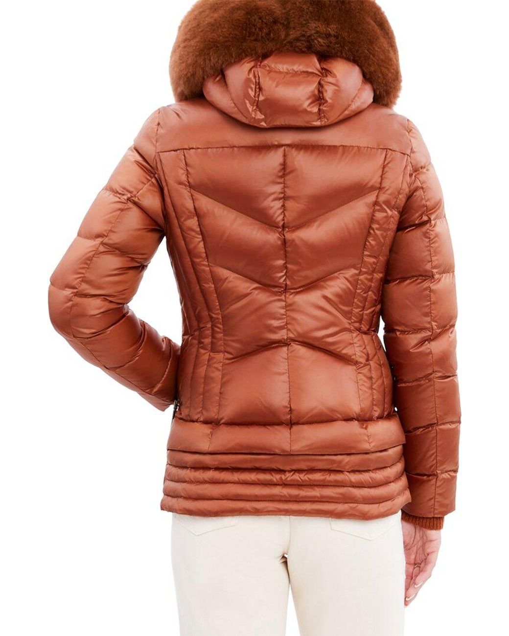 Dawn levy coat sale deals