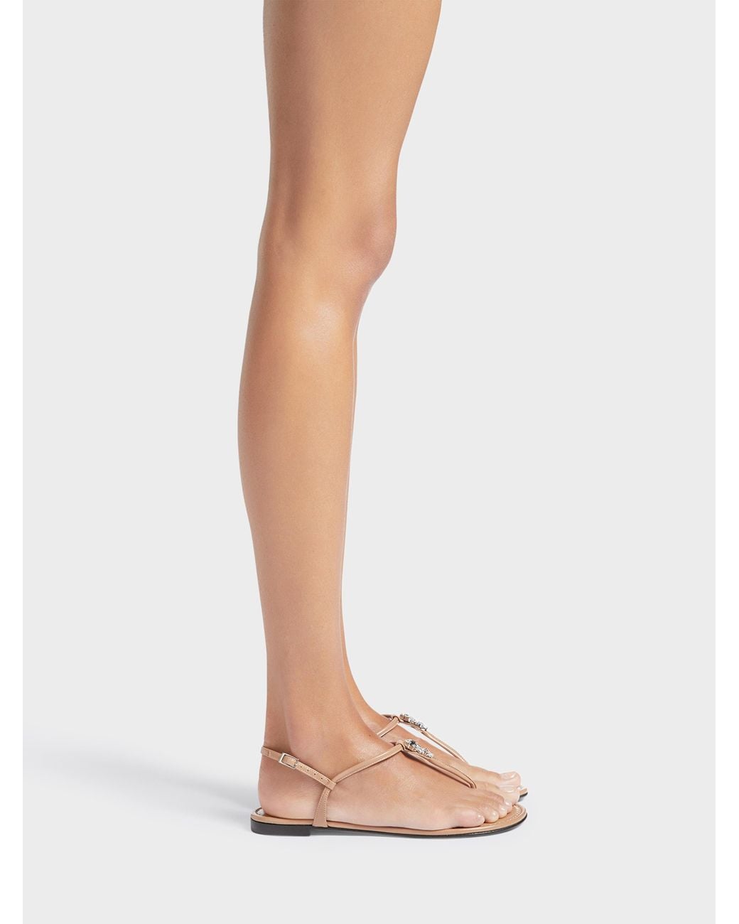 Giuseppe Zanotti Natural Anyelle Flat Sandal
