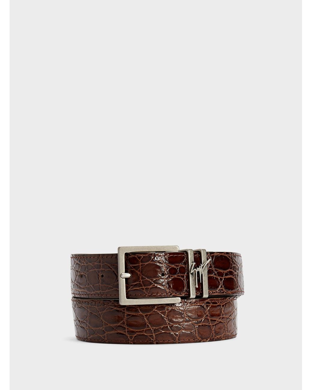 Giuseppe Zanotti Brown Teodore Belt for men