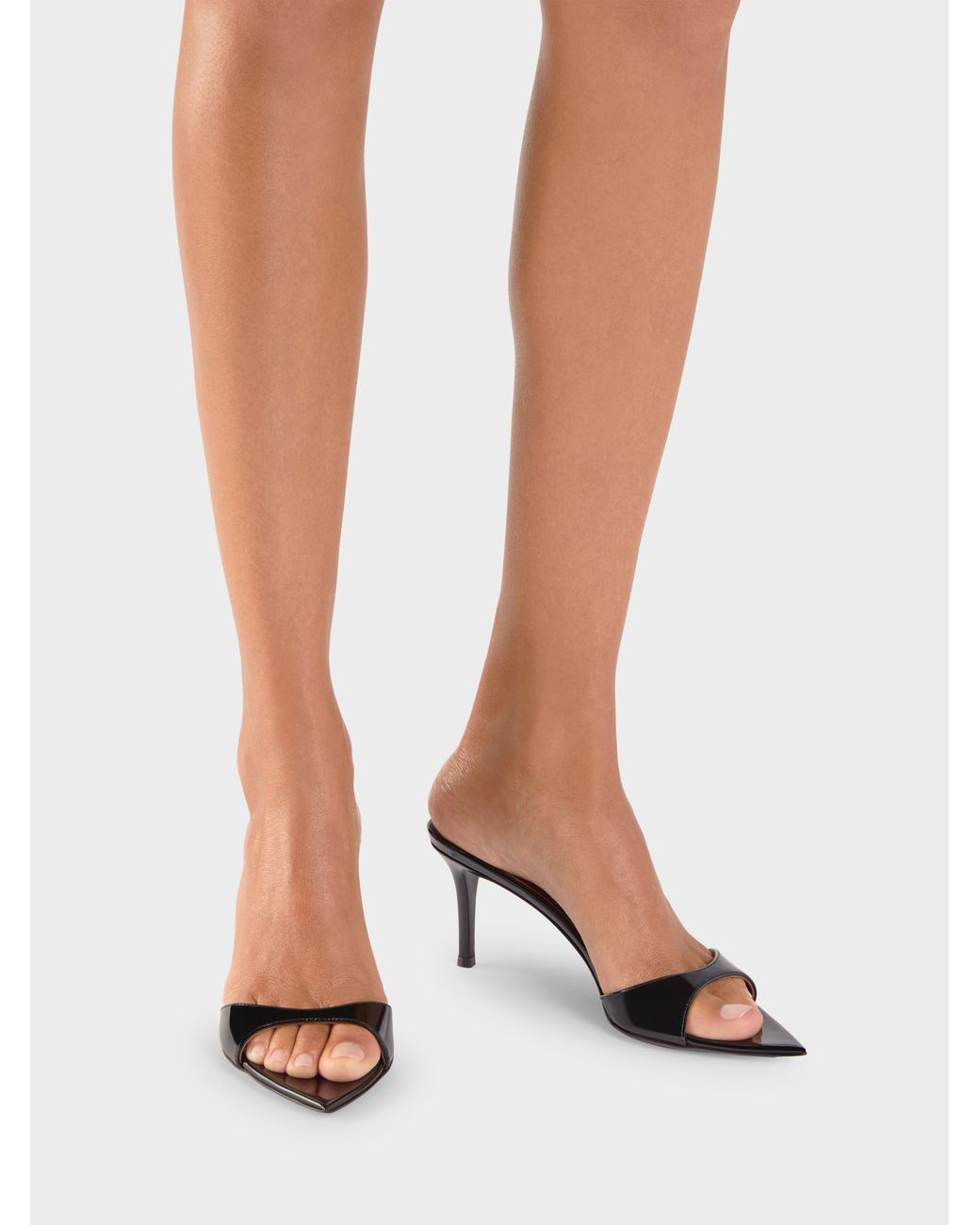 Giuseppe Zanotti Black Intriigo Mule 70