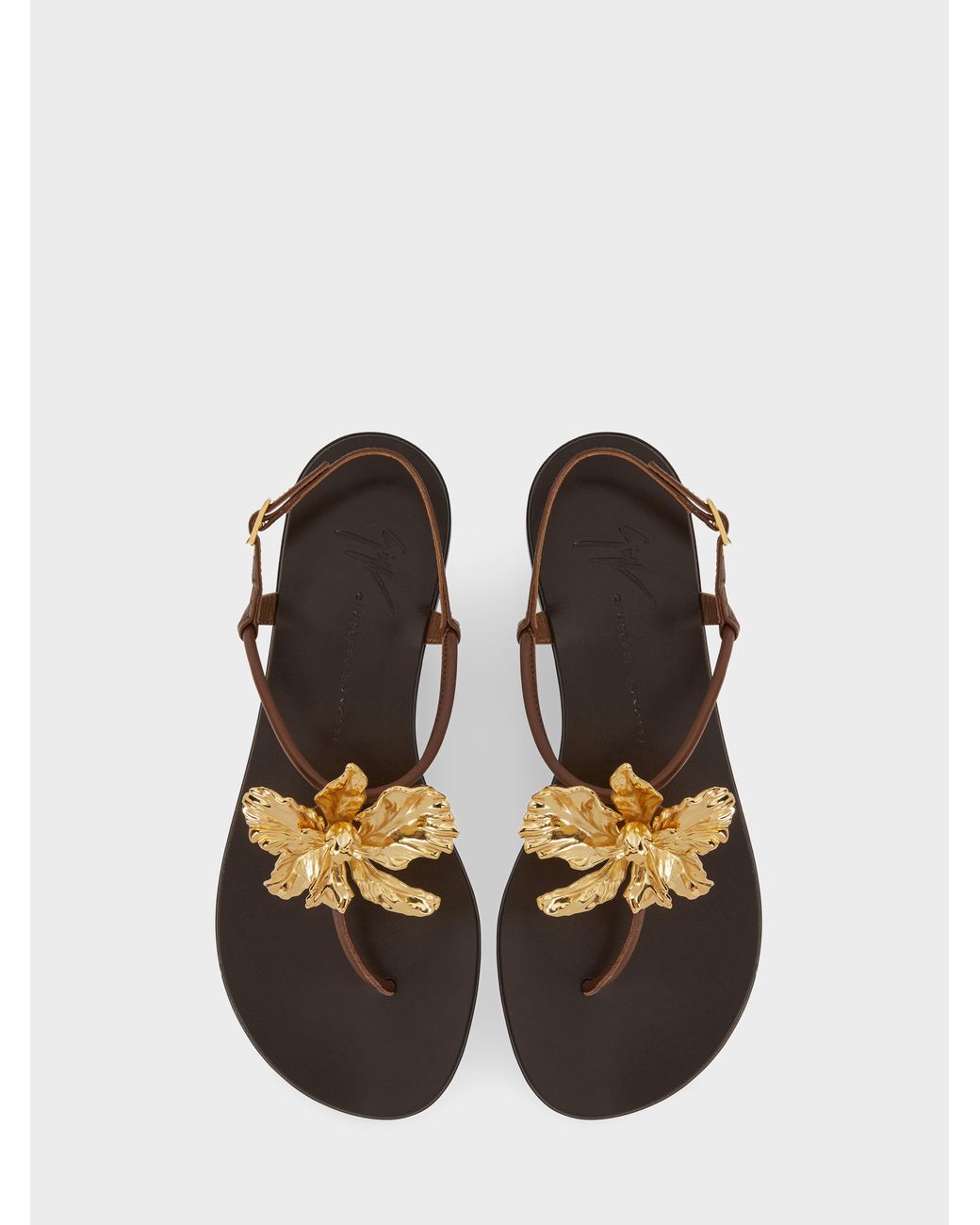 Giuseppe Zanotti Natural Orchid Flat Sandal