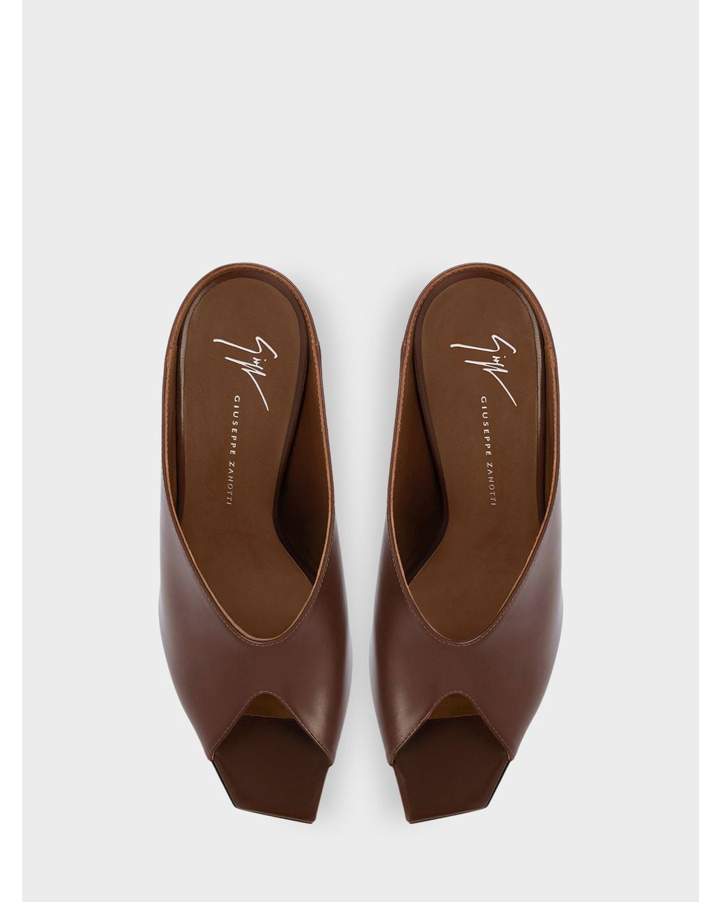 Giuseppe Zanotti Brown Gz Key Mule 105