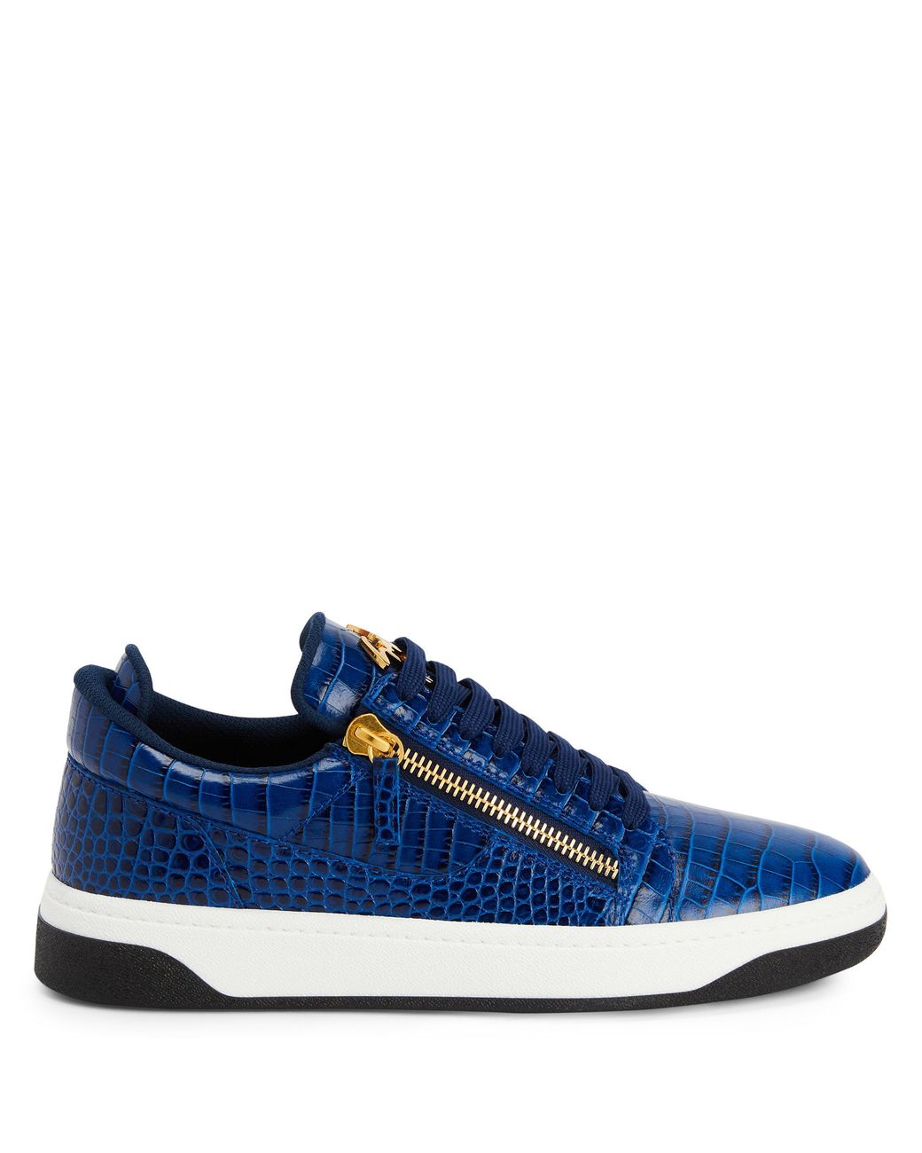 Giuseppe zanotti shop blue shoes