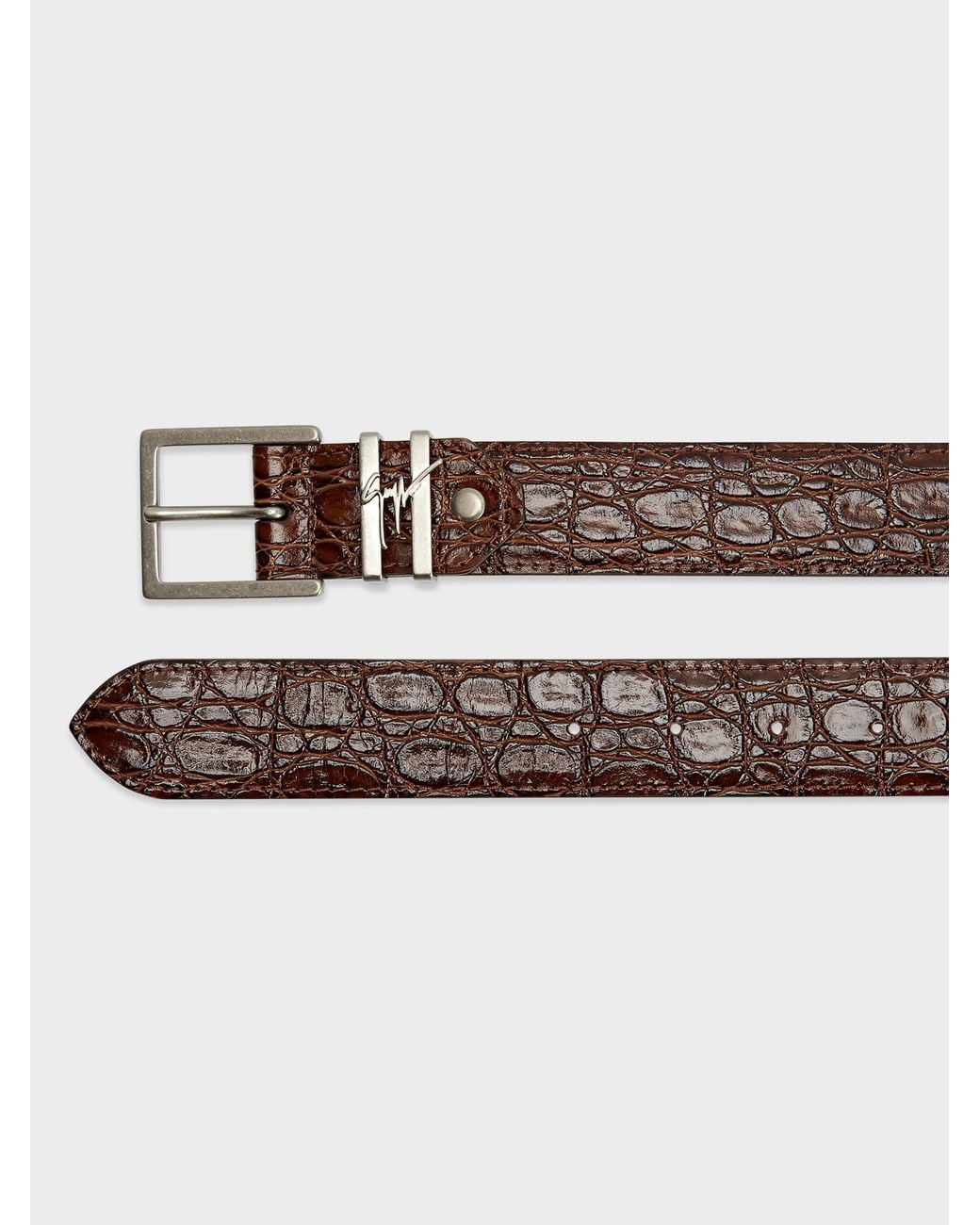 Giuseppe Zanotti Brown Teodore Belt for men