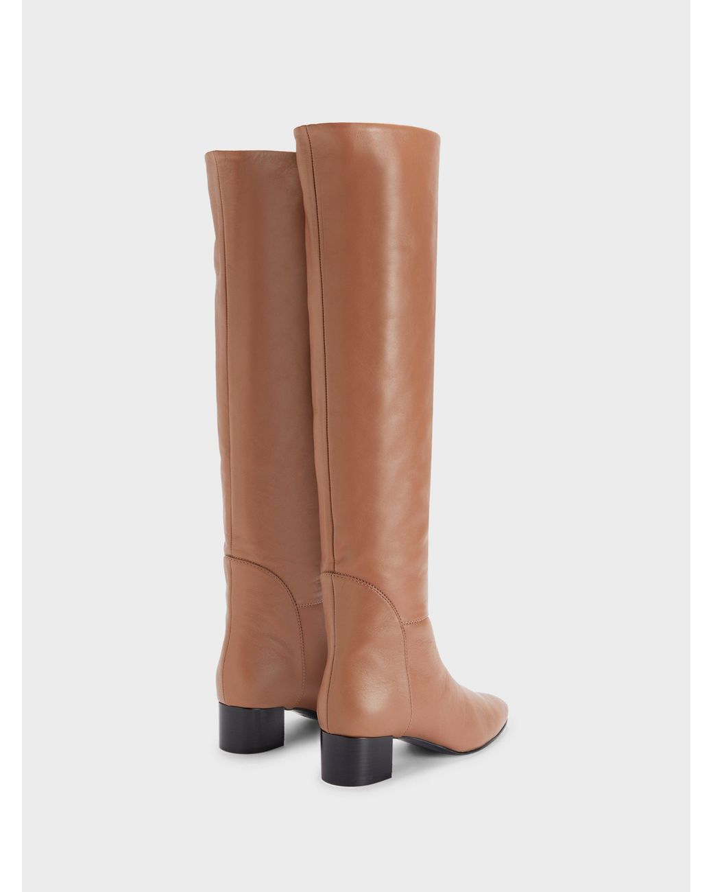 Giuseppe Zanotti Brown Clelia