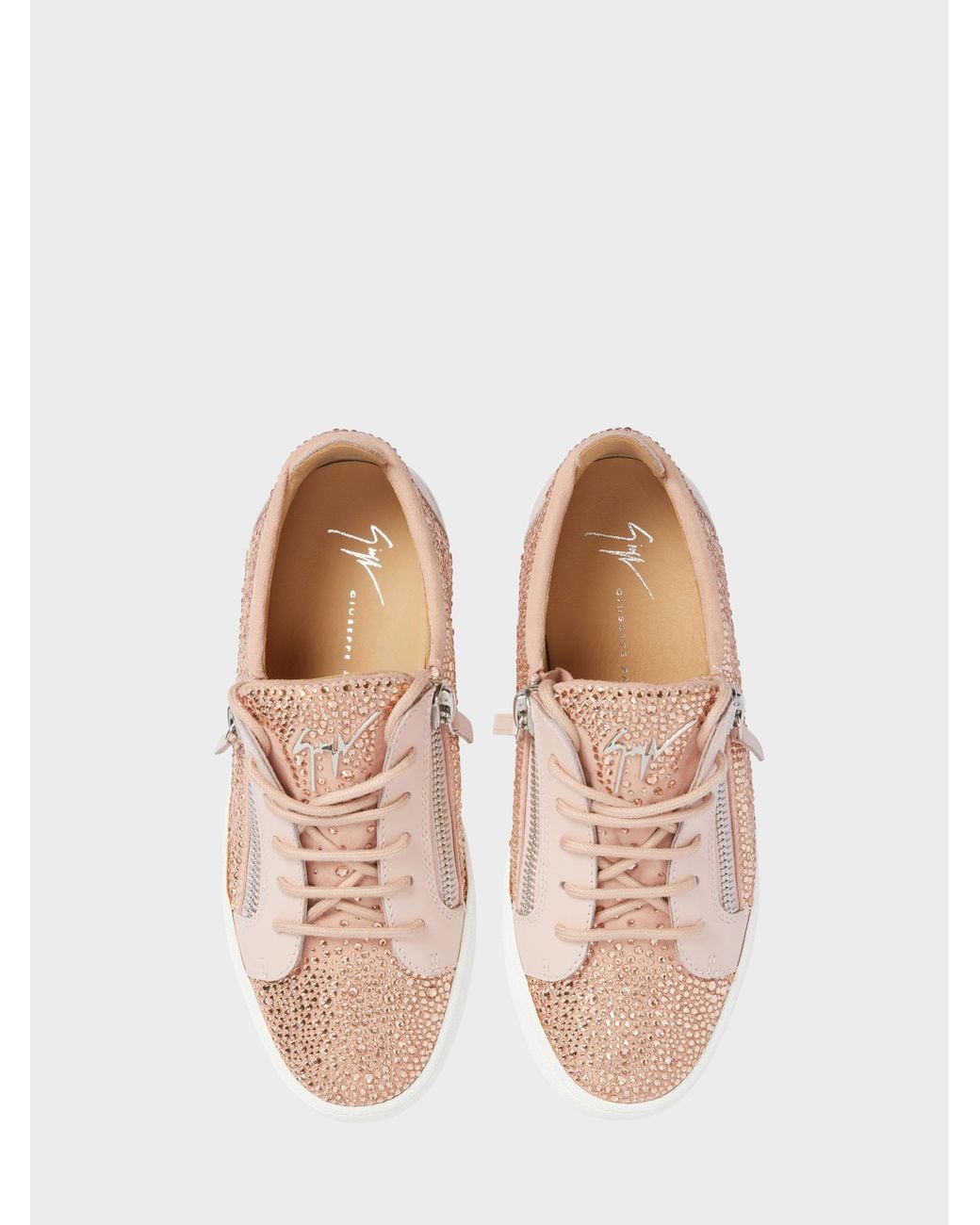 Giuseppe Zanotti Pink Gail Low Top