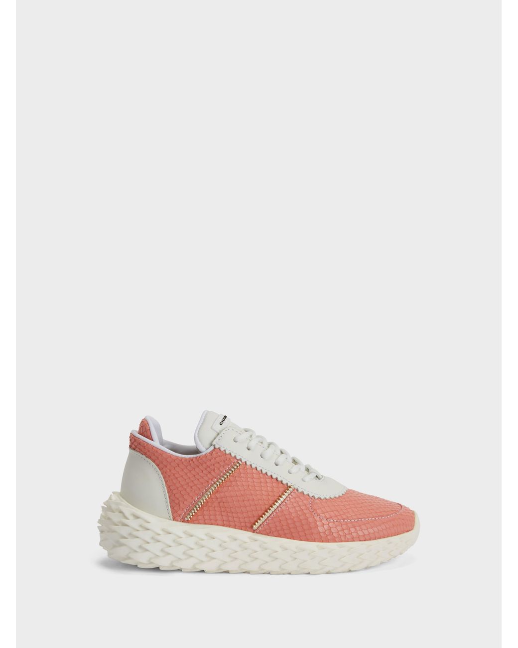 Giuseppe Zanotti Pink Urchin