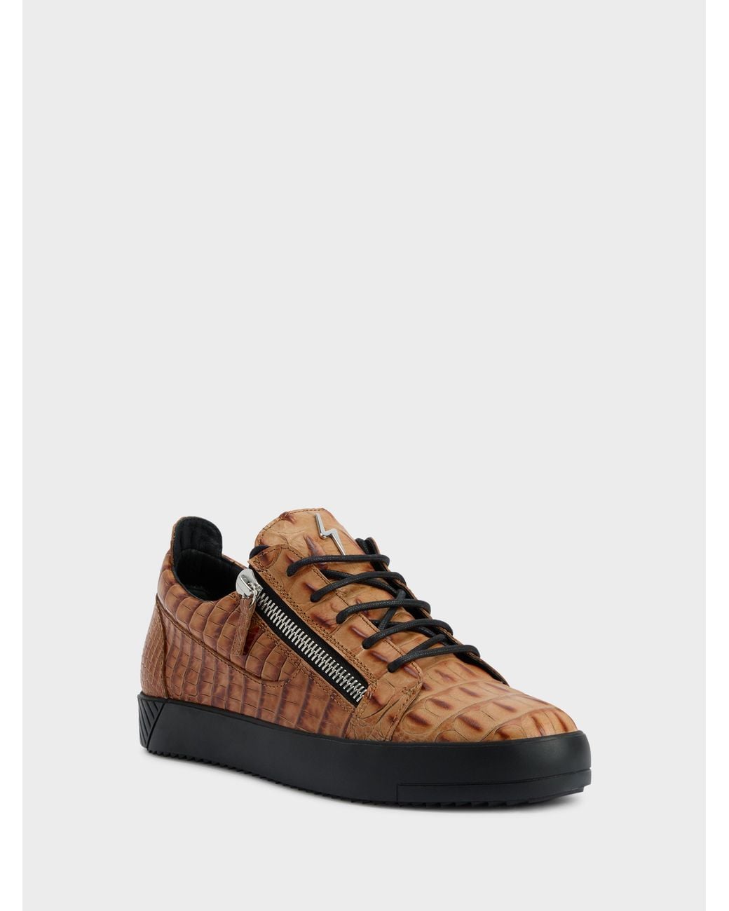Giuseppe Zanotti Brown Frankie Low Top for men