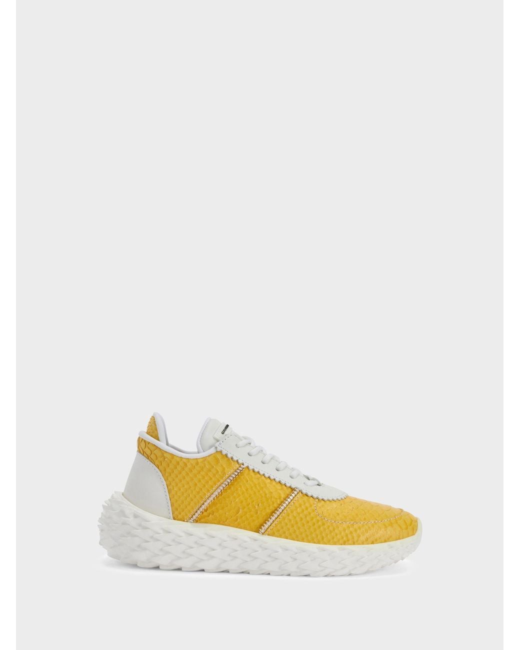 Giuseppe Zanotti Yellow Urchin Low Top