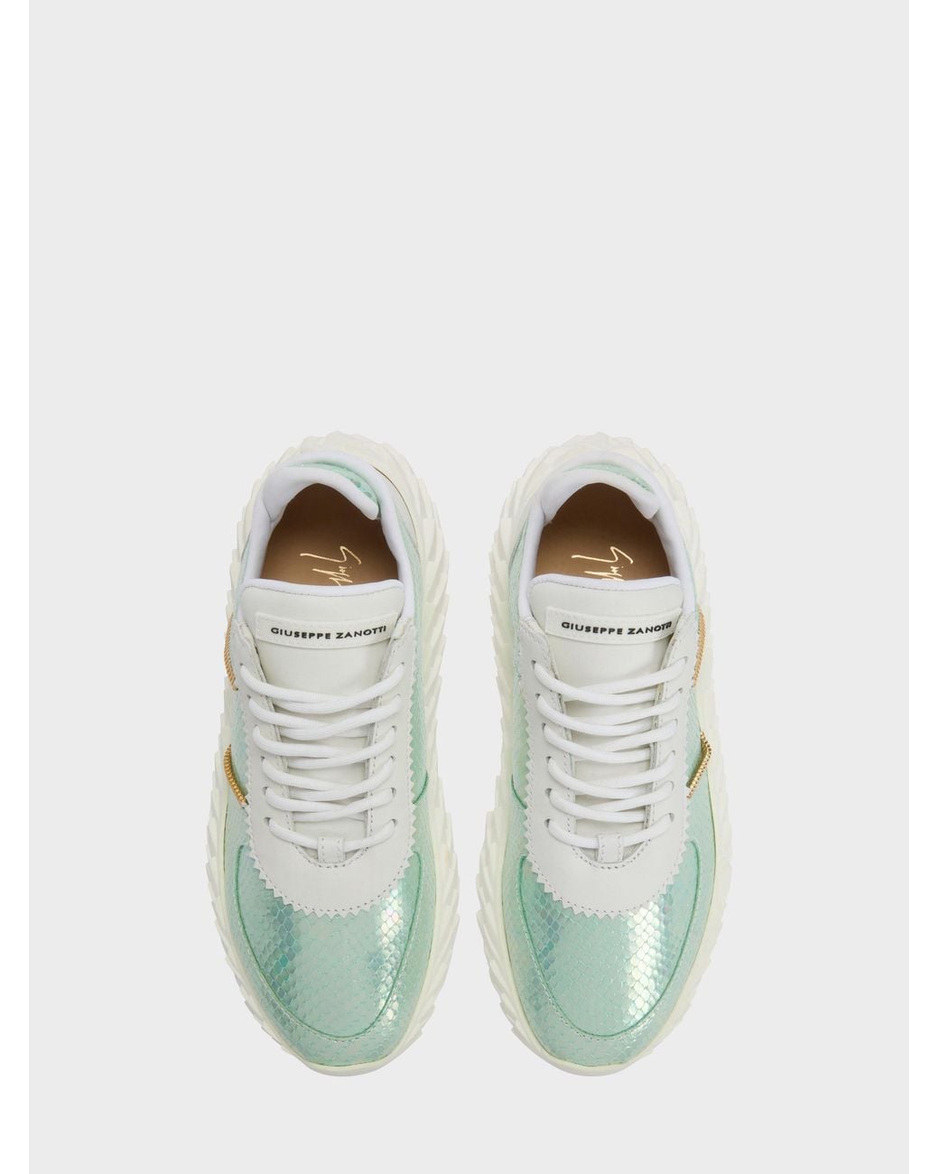 Giuseppe Zanotti Green Urchin Low Top