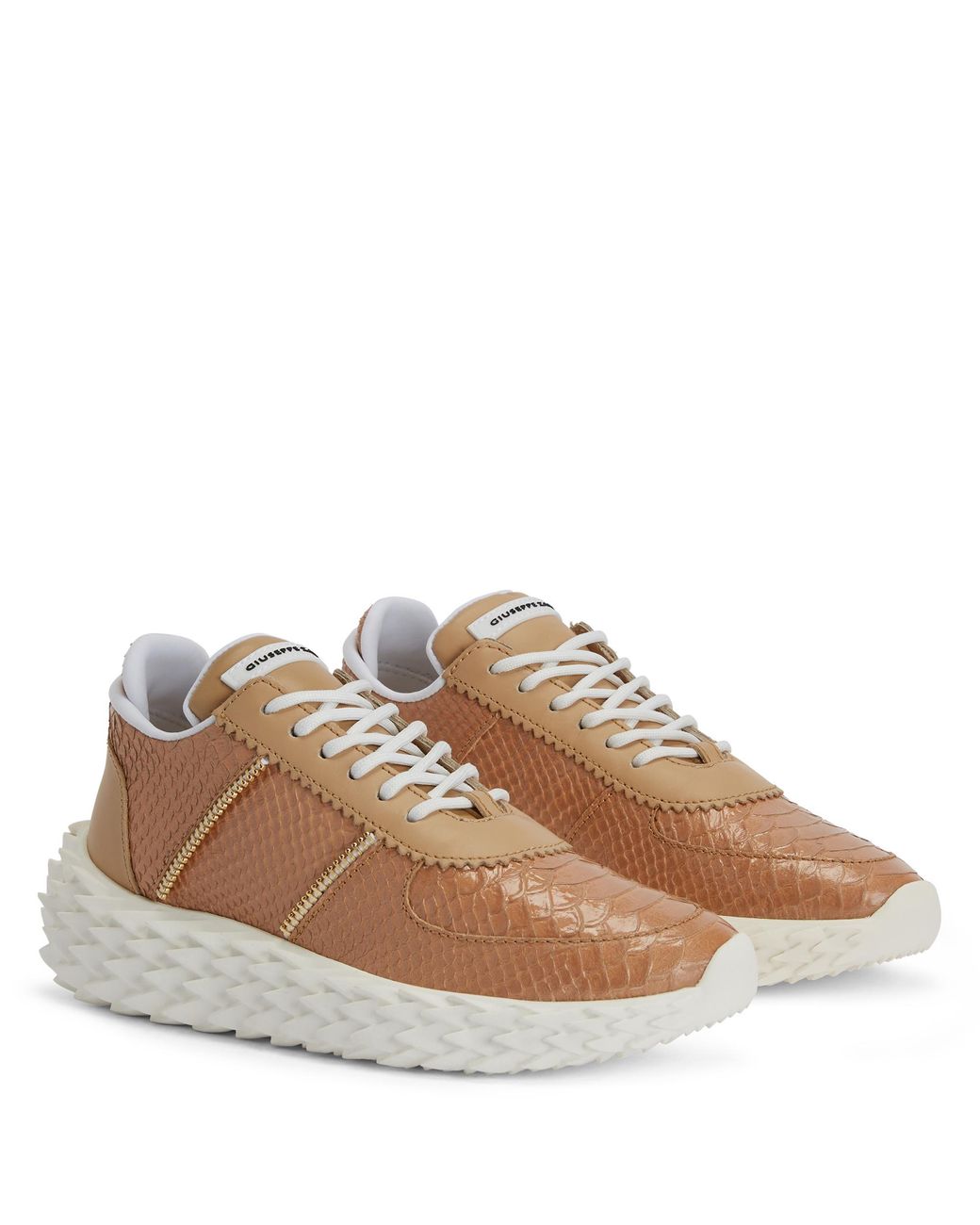 Giuseppe Zanotti Brown Urchin
