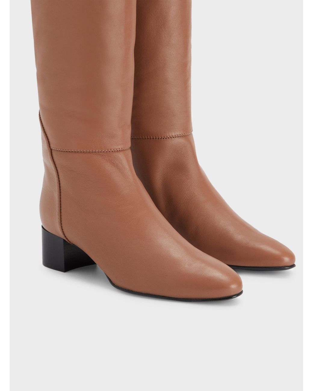 Giuseppe Zanotti Brown Clelia