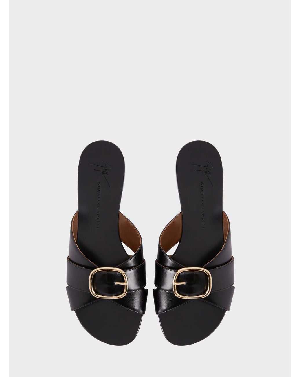 Giuseppe Zanotti Black Geraldhine Flat Sandal