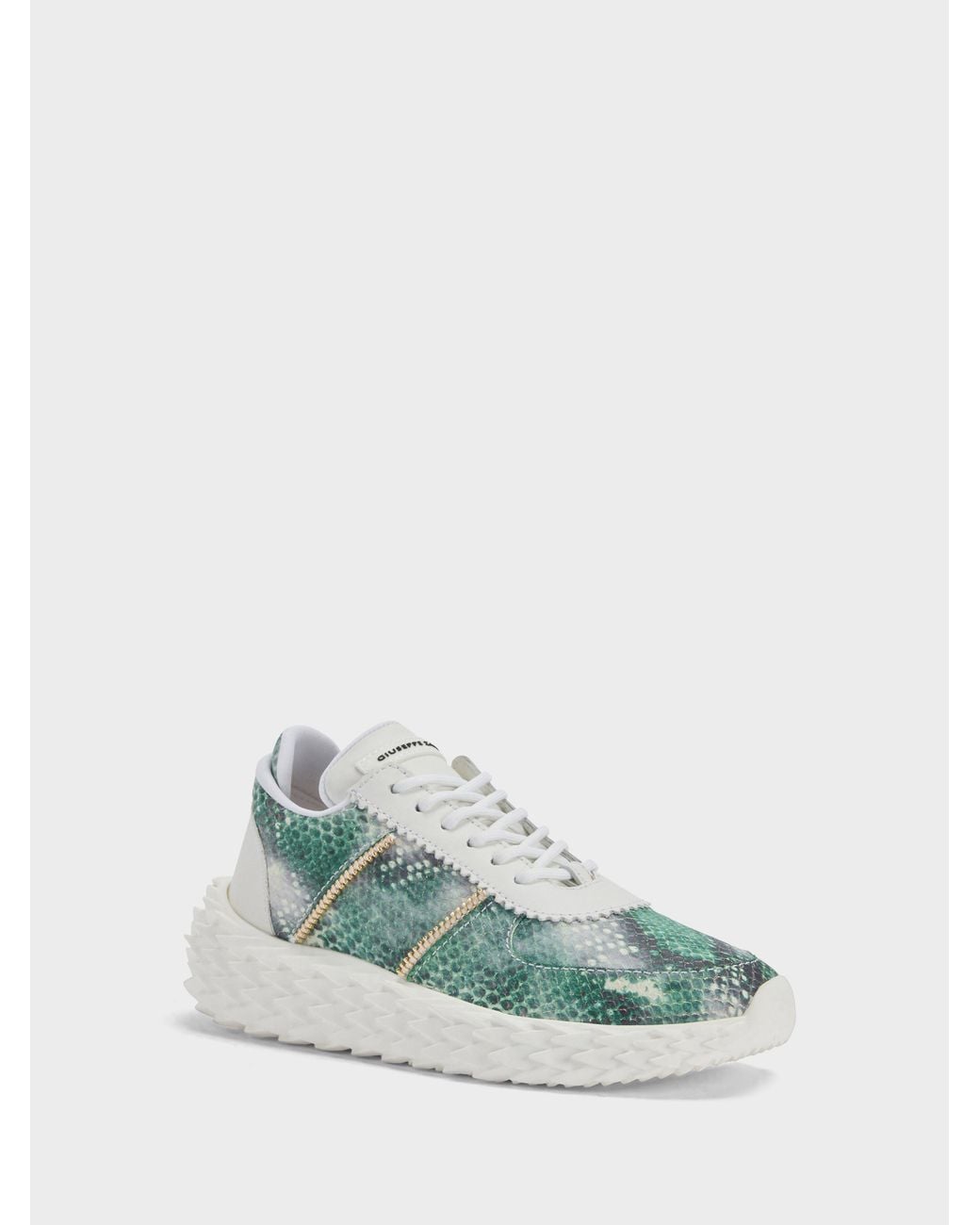 Giuseppe Zanotti Green Urchin Low Top