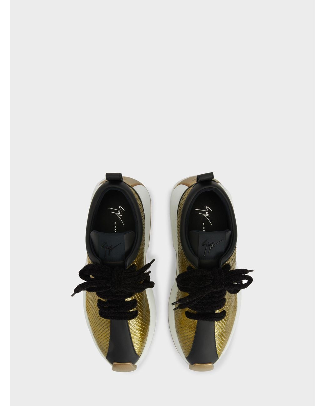 Giuseppe Zanotti Green Ferox Runner for men