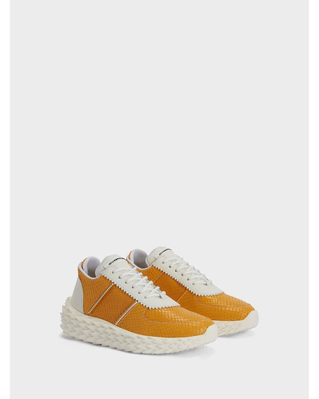 Giuseppe Zanotti Orange Urchin Low Top
