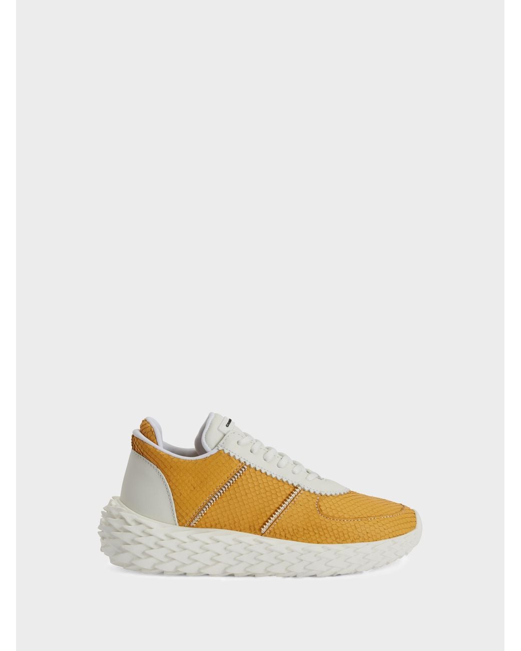 Giuseppe Zanotti Orange Urchin Low Top