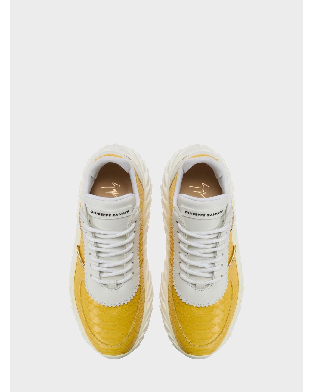 Giuseppe Zanotti Yellow Urchin Low Top