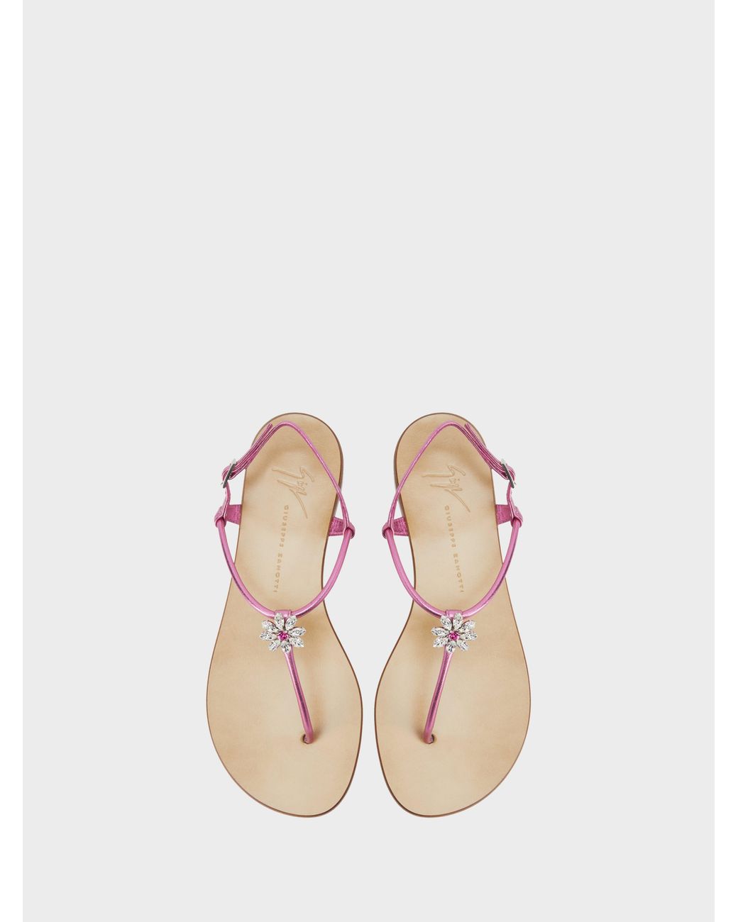 Giuseppe Zanotti Pink Geltrude