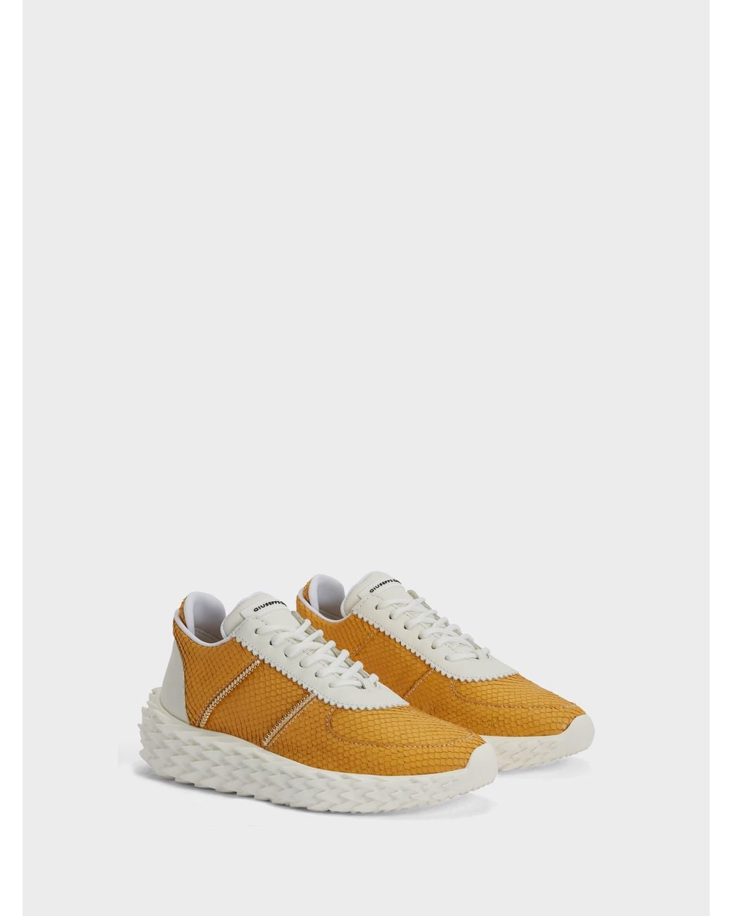 Giuseppe Zanotti Orange Urchin Low Top