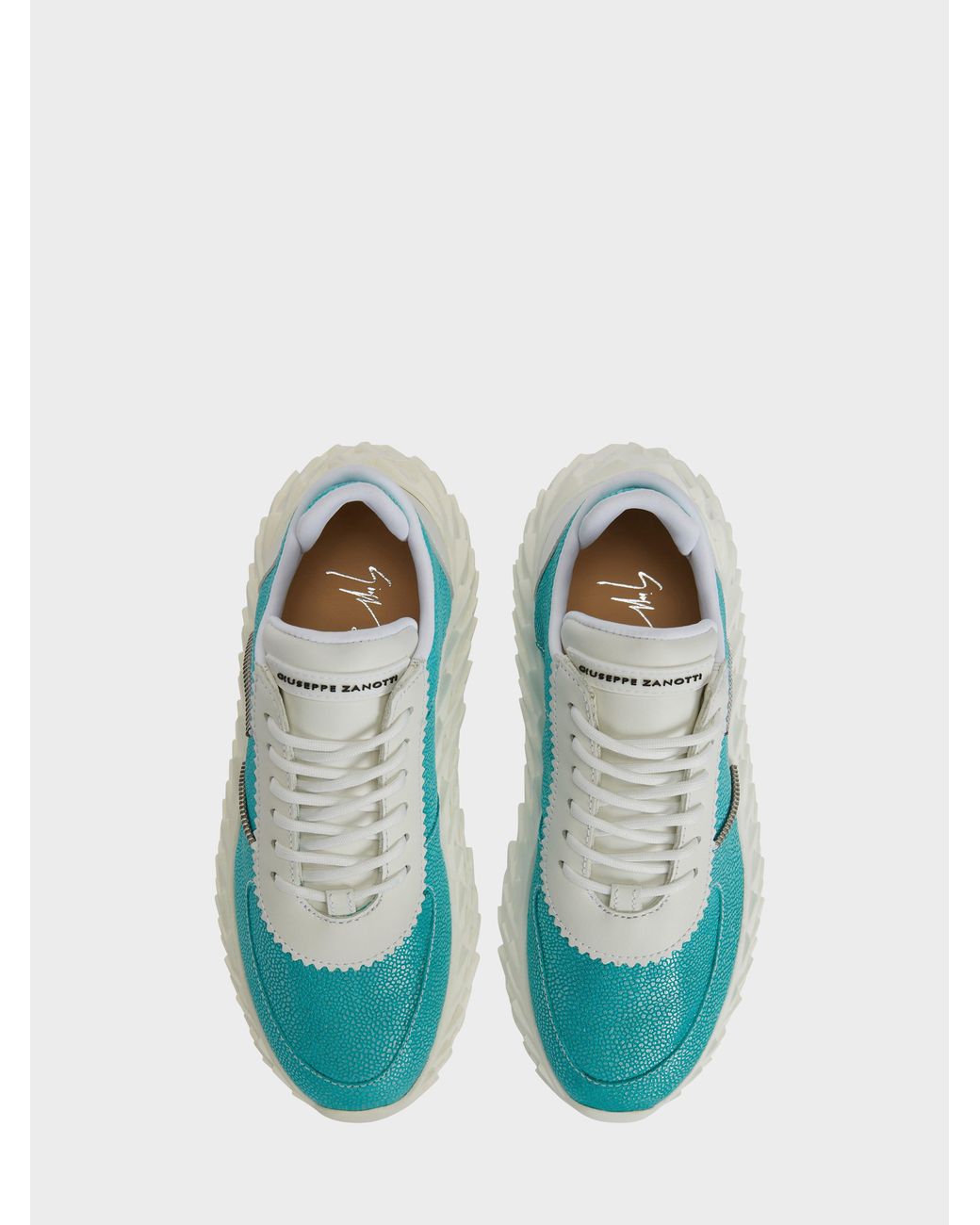 Giuseppe Zanotti Blue Urchin