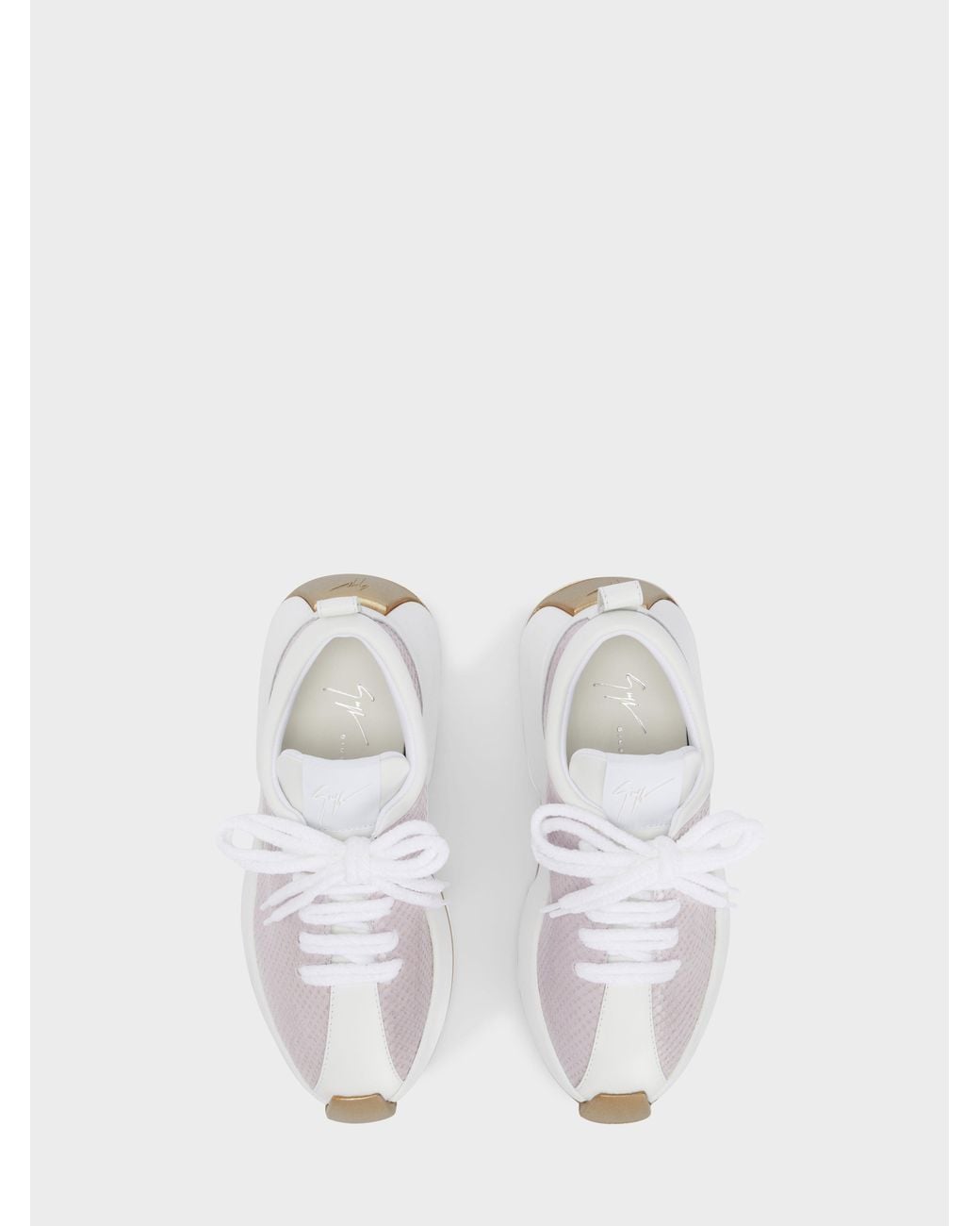 Giuseppe Zanotti White Ferox