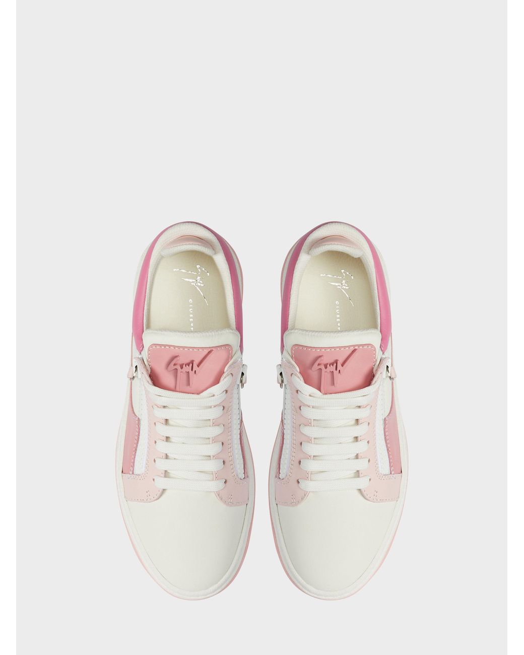 Giuseppe Zanotti Pink Gz94 Low Top