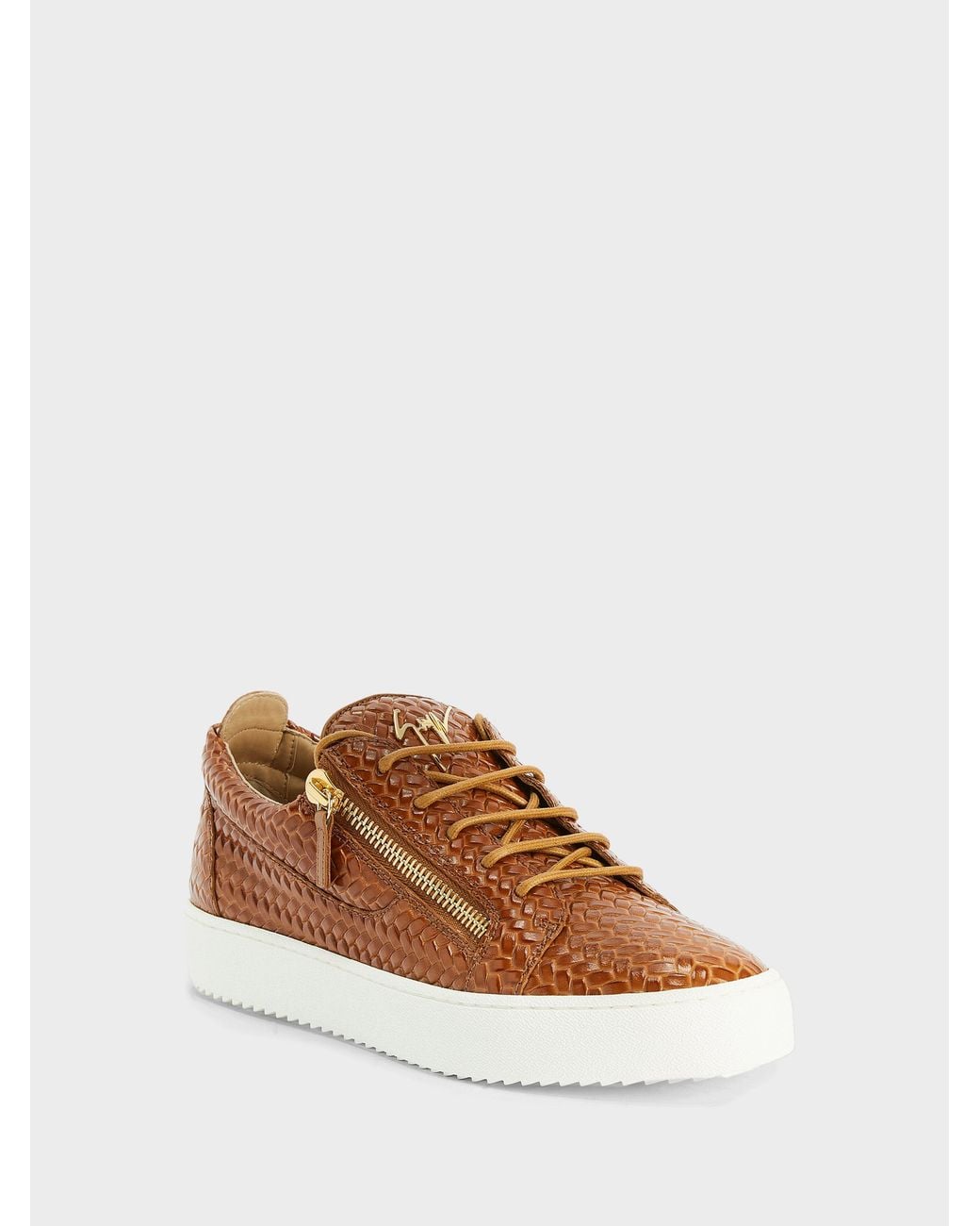 Giuseppe Zanotti Brown Frankie Low Top for men
