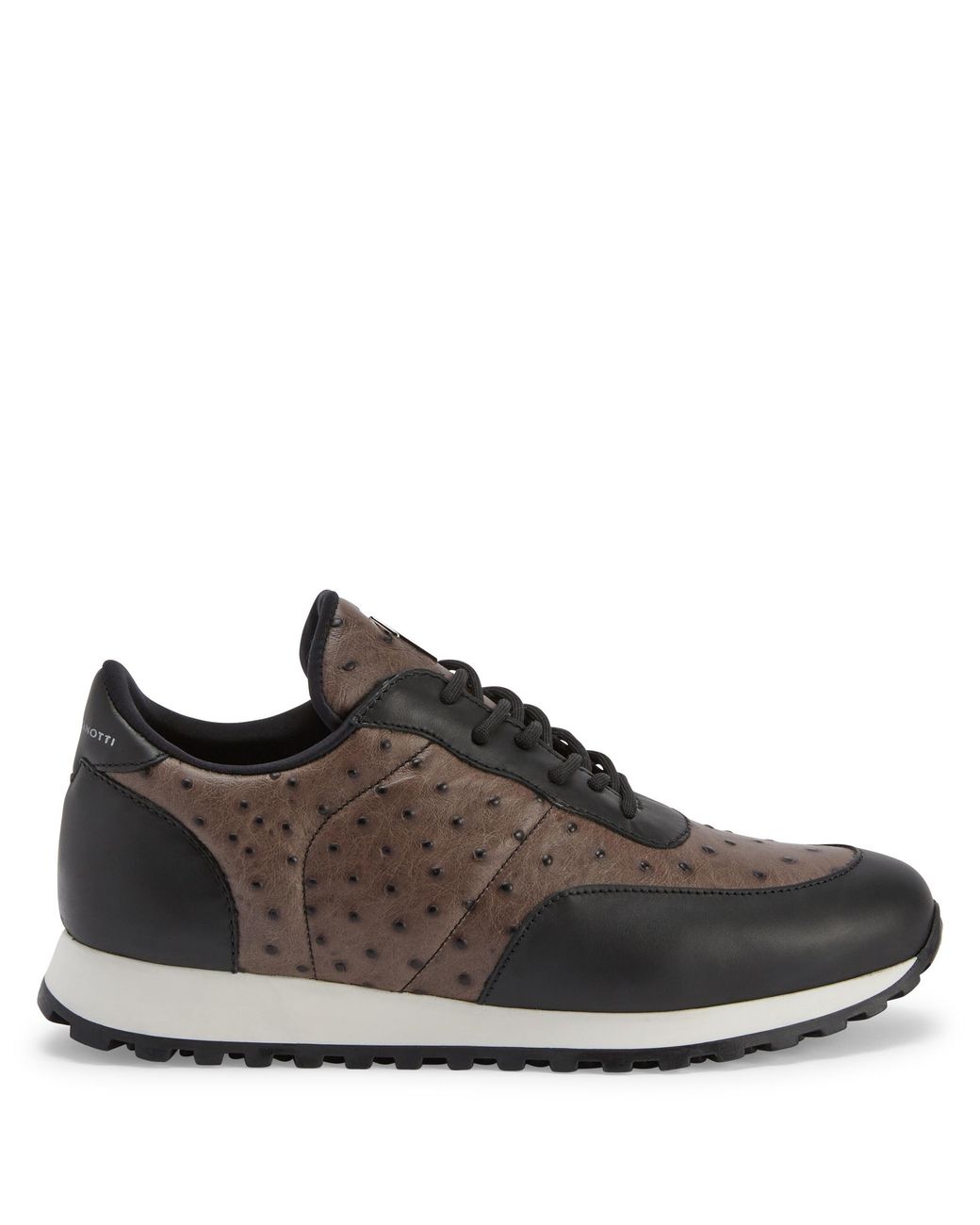 Giuseppe Zanotti Brown Jimi Running for men