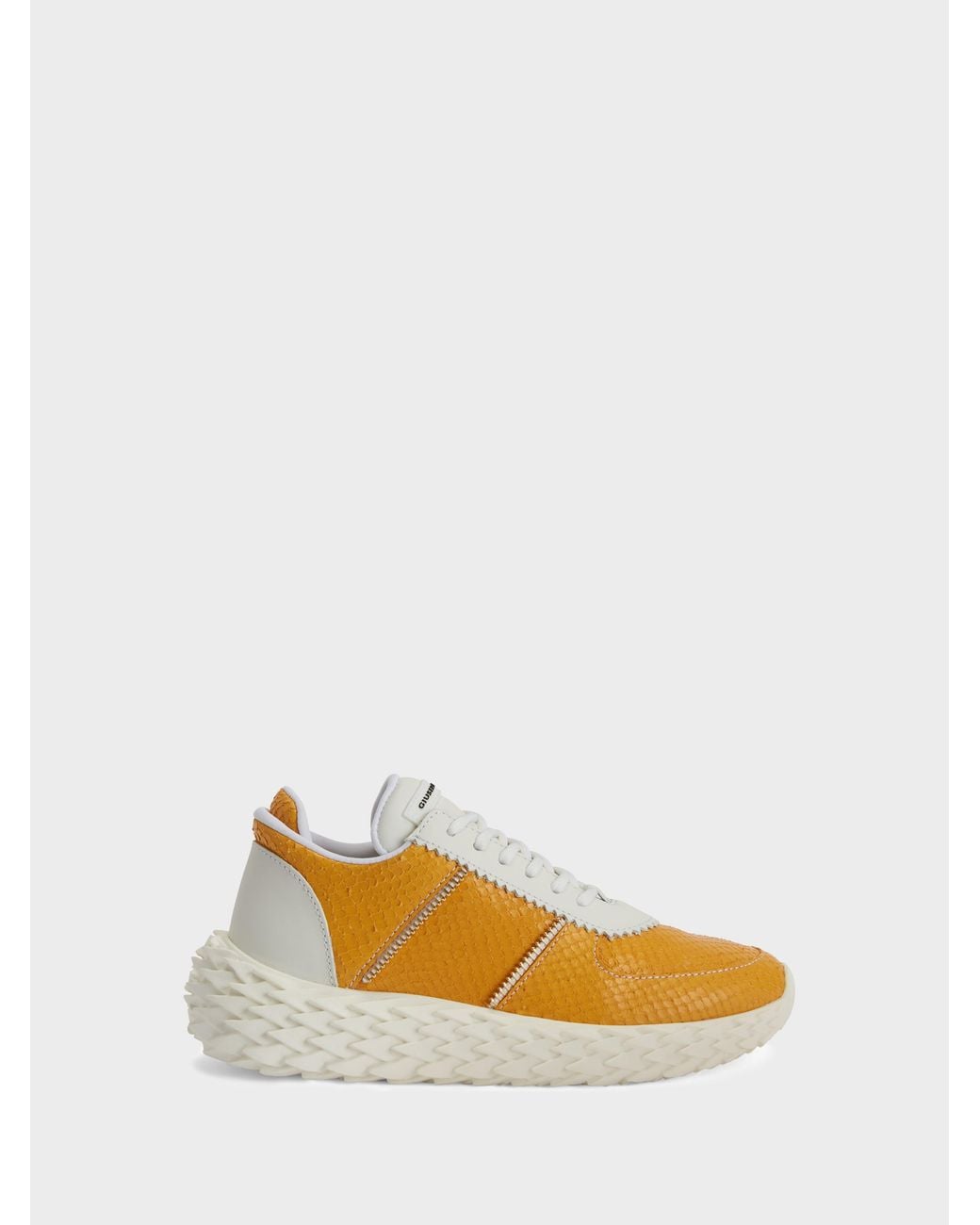 Giuseppe Zanotti Orange Urchin Low Top