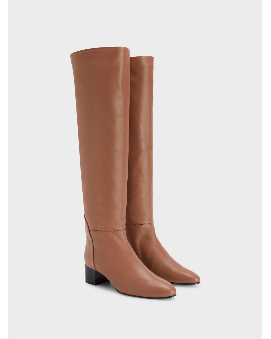 Giuseppe Zanotti Brown Clelia