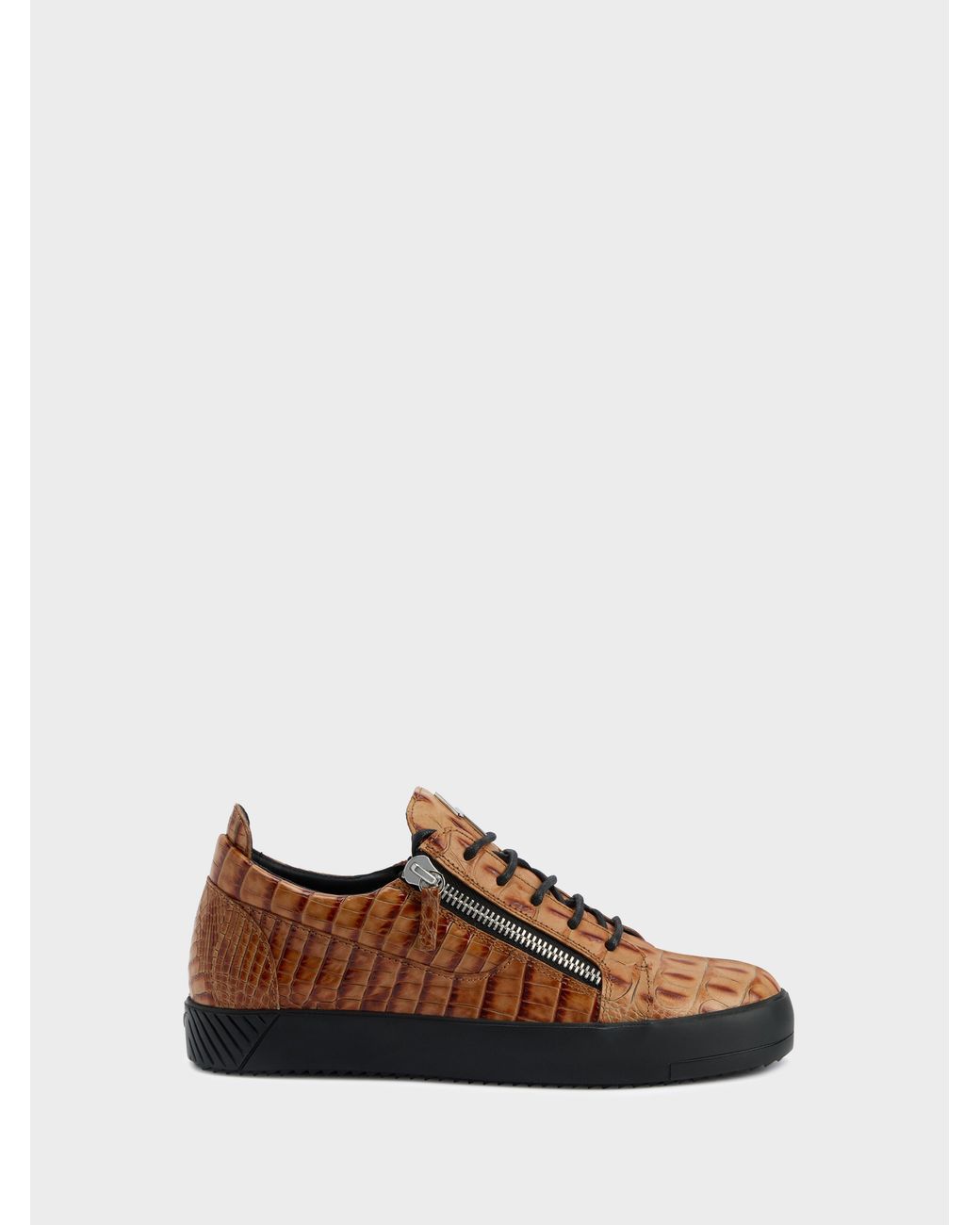 Giuseppe Zanotti Brown Frankie Low Top for men