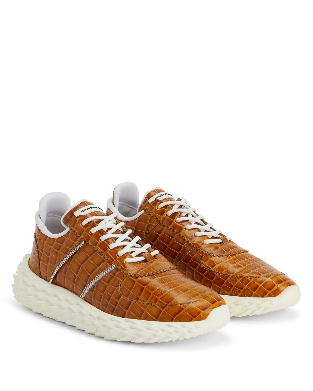 Giuseppe Zanotti Brown Urchin for men
