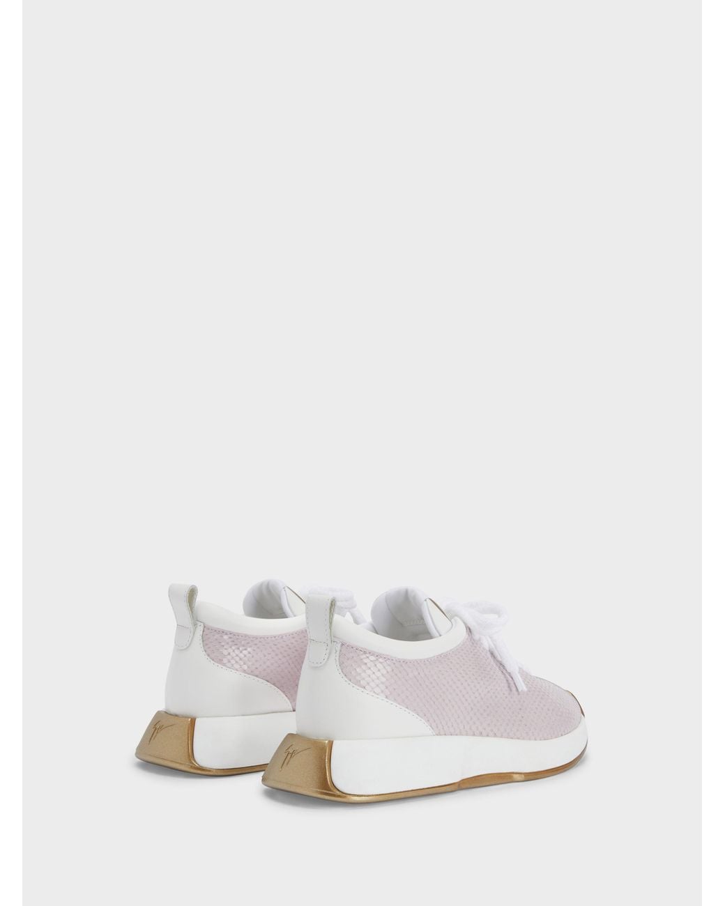 Giuseppe Zanotti White Ferox