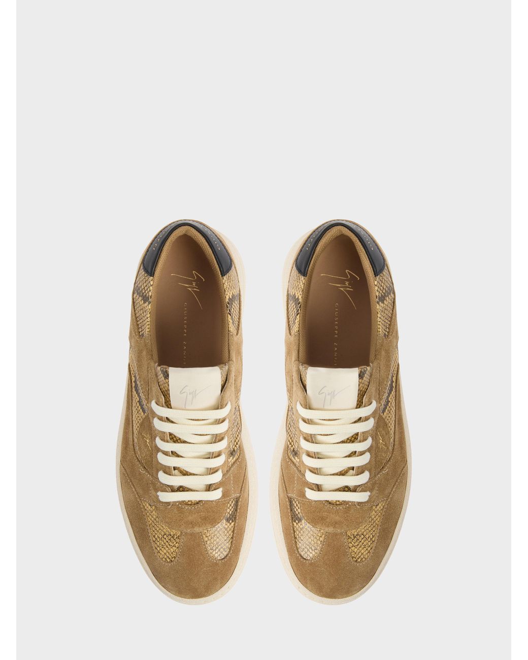 Giuseppe Zanotti Brown Gz94 Low Top for men