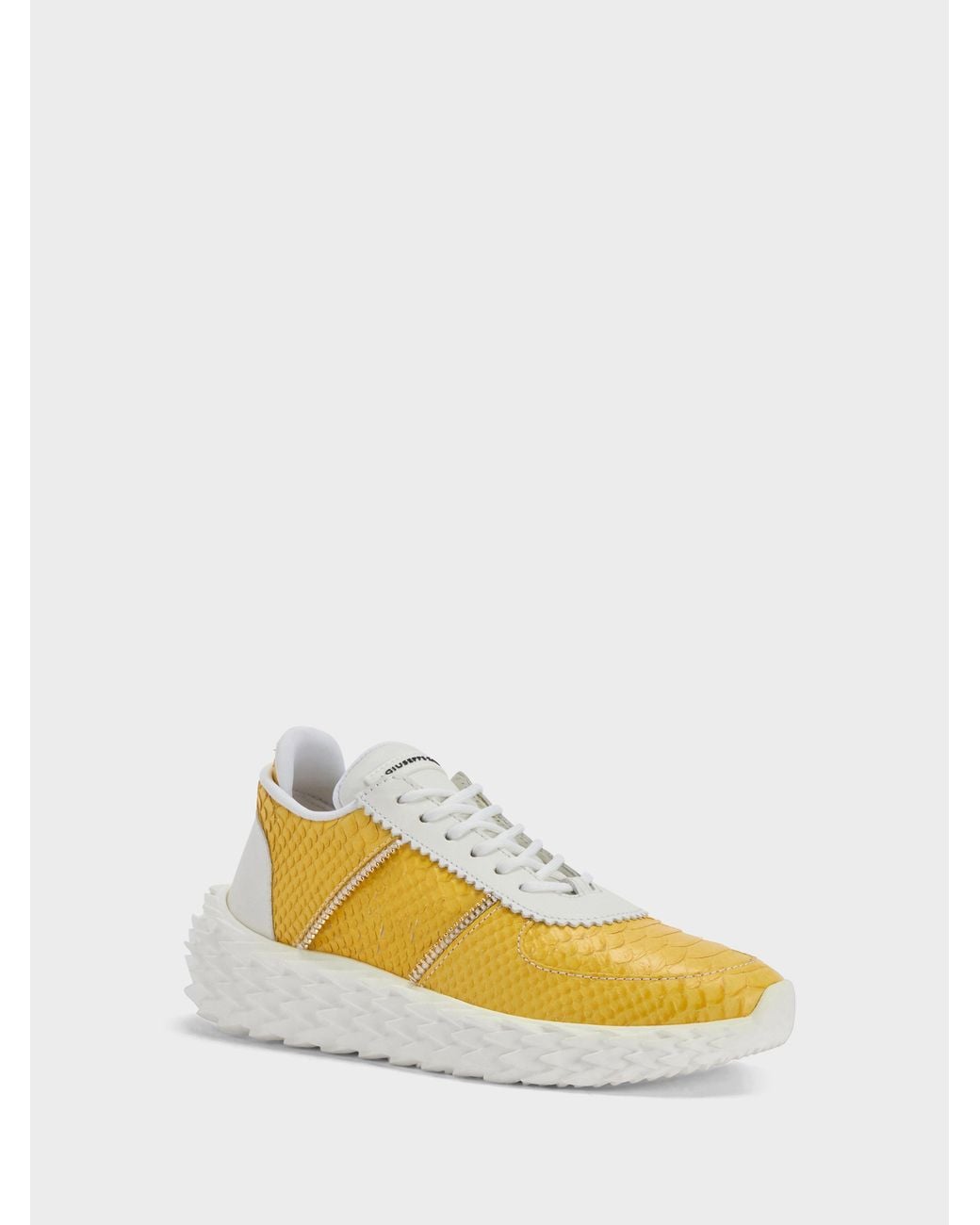 Giuseppe Zanotti Yellow Urchin Low Top