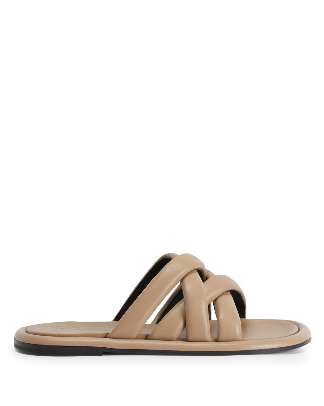 Giuseppe Zanotti Brown Jacobseen for men