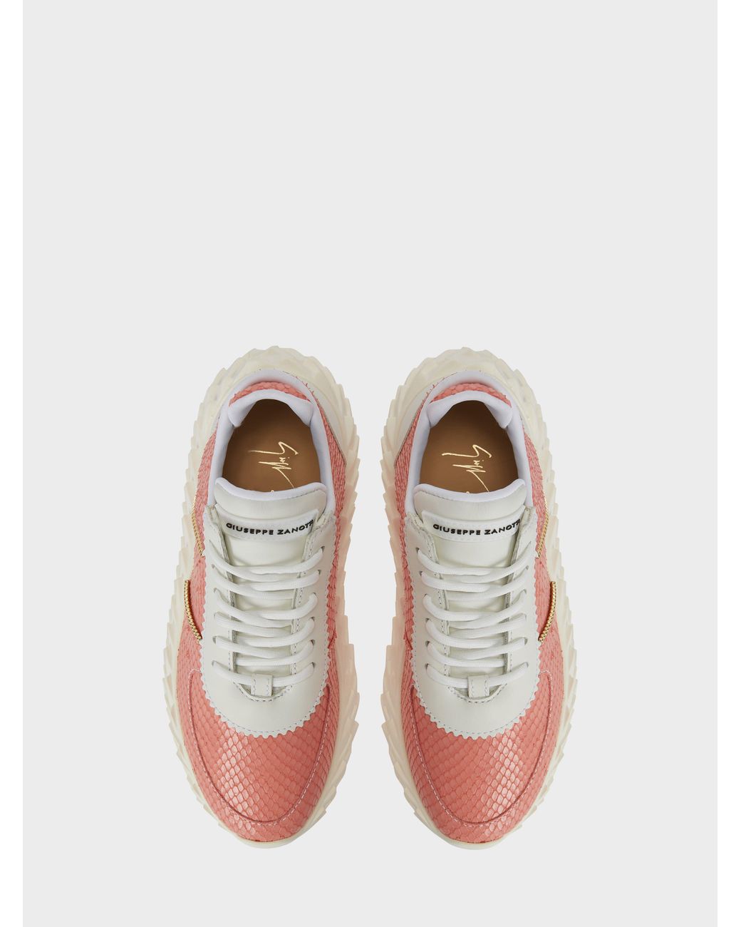 Giuseppe Zanotti Pink Urchin