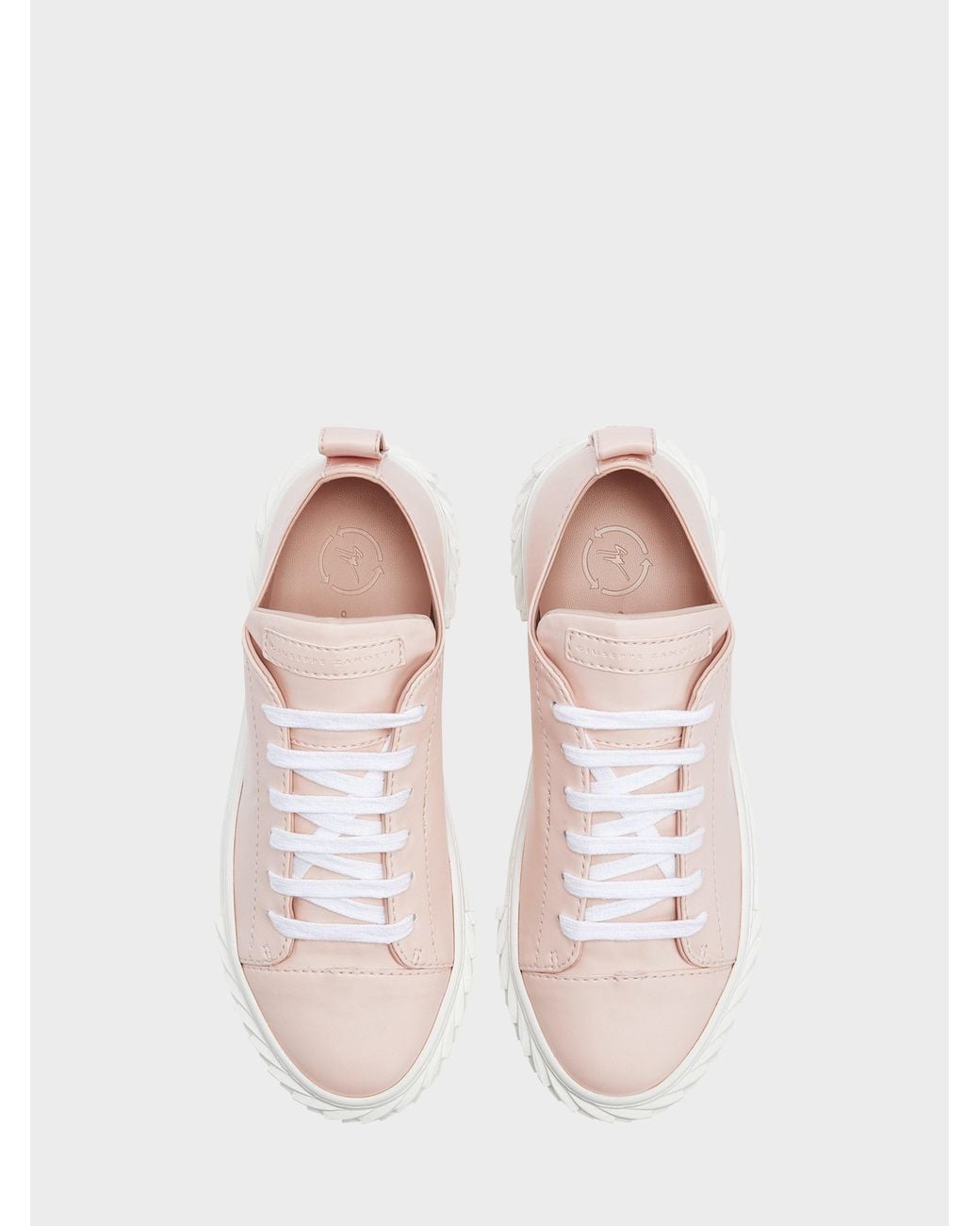 Giuseppe Zanotti Pink Ecoblabber Low Top