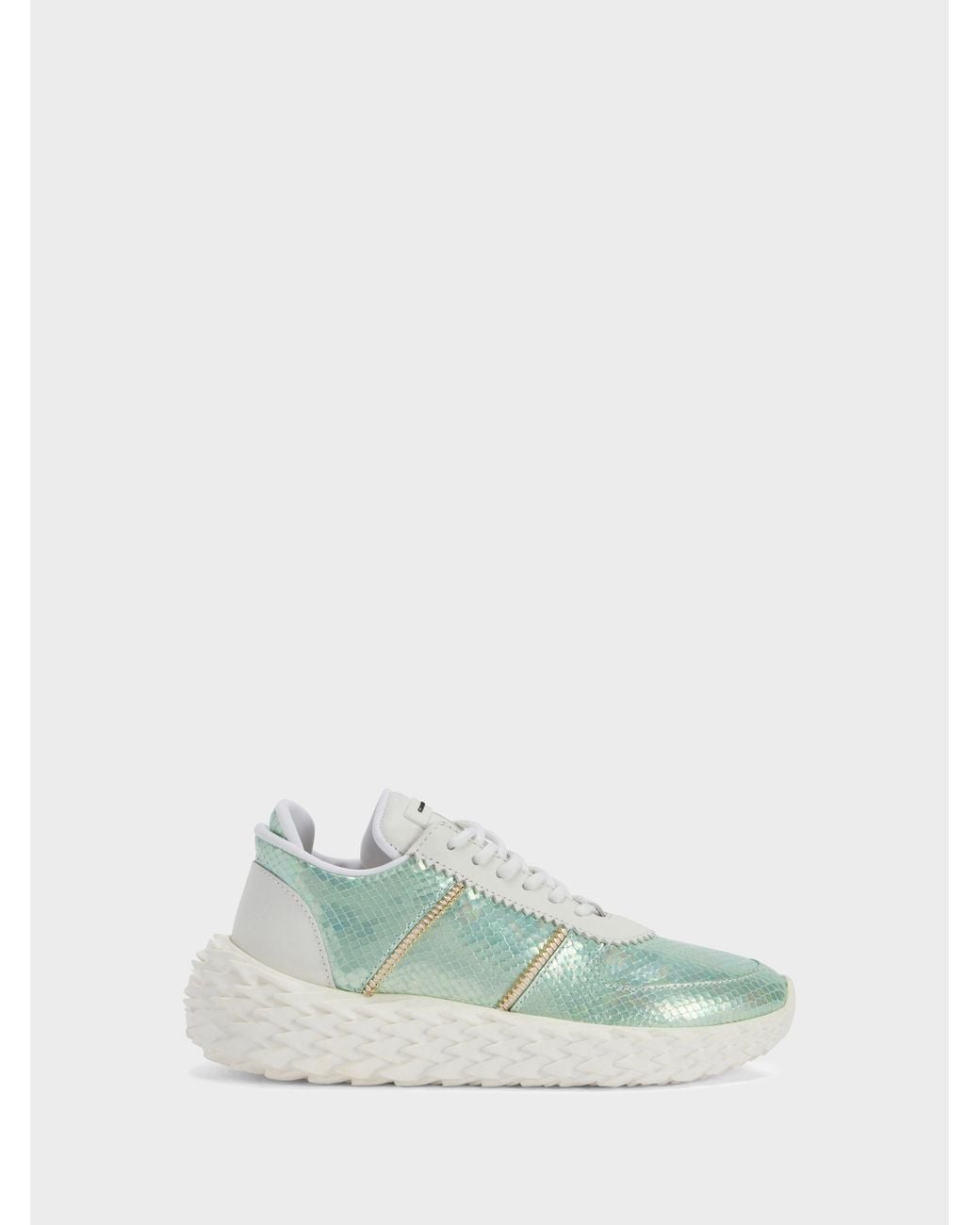 Giuseppe Zanotti Green Urchin Low Top