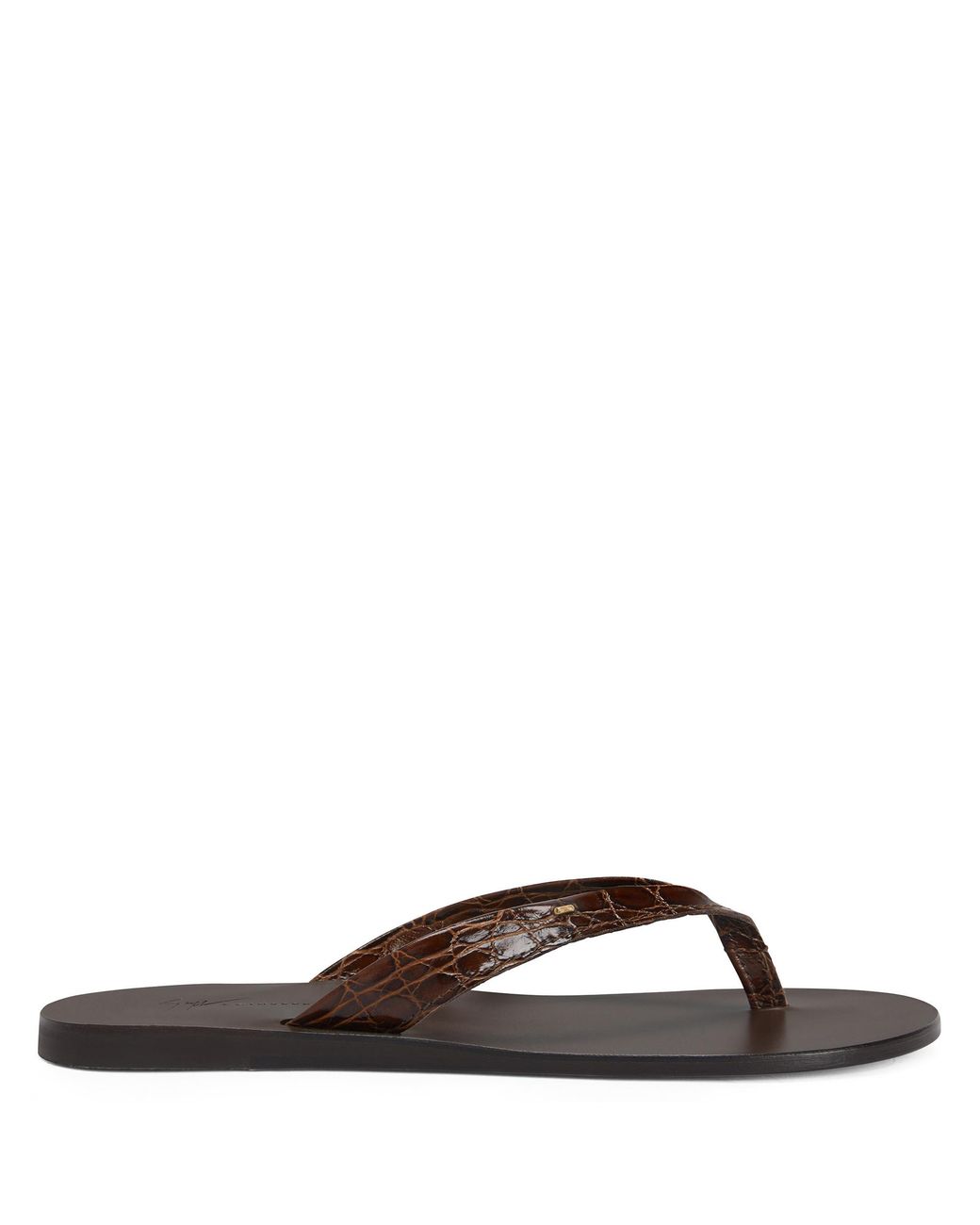 Giuseppe Zanotti Brown Philemon for men
