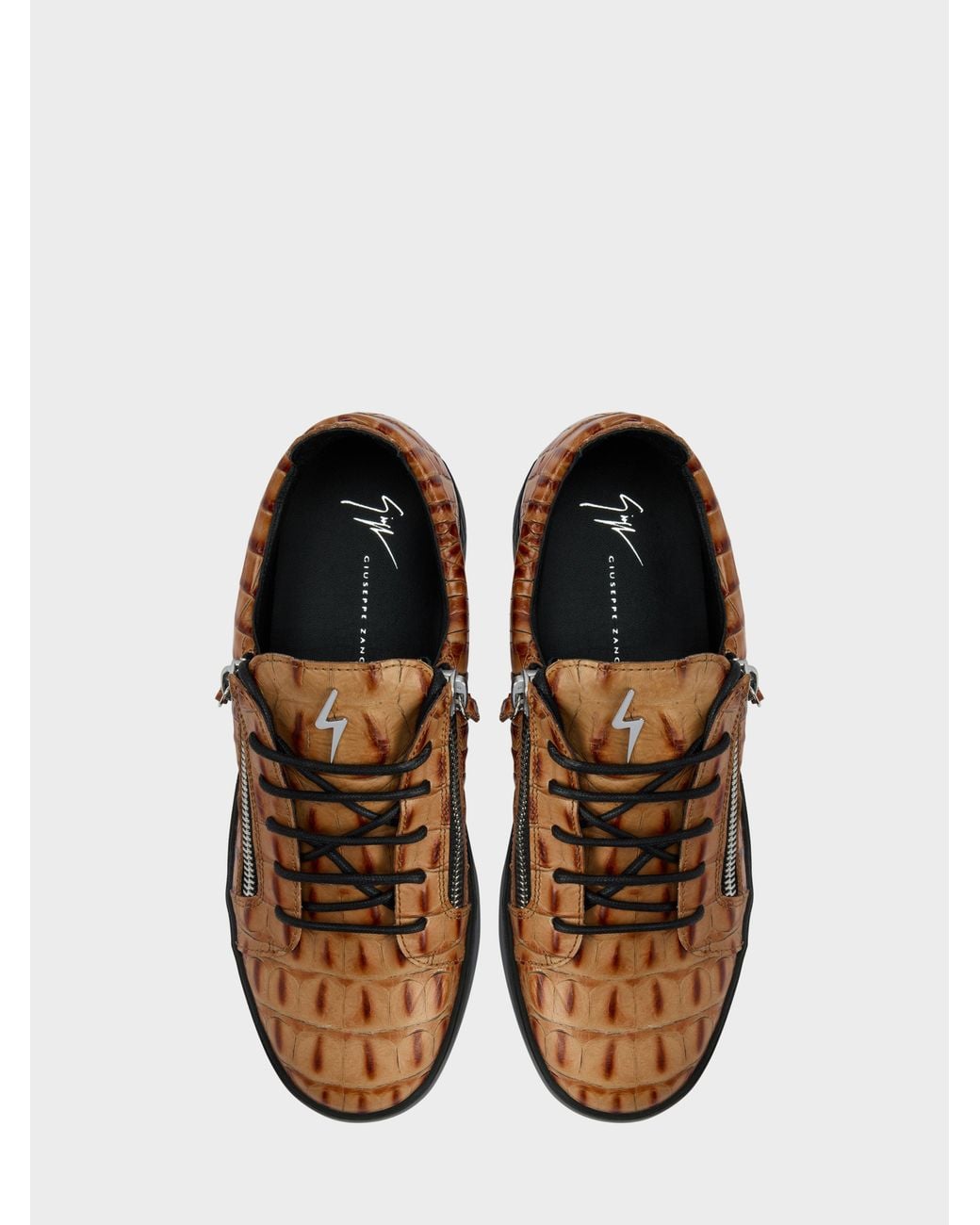 Giuseppe Zanotti Brown Frankie Low Top for men