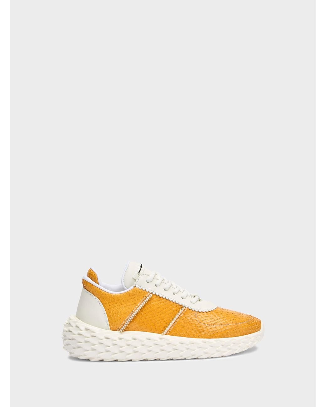 Giuseppe Zanotti Orange Urchin Low Top