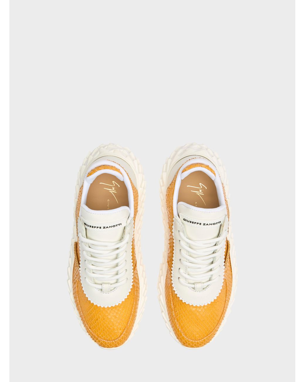 Giuseppe Zanotti Orange Urchin Low Top