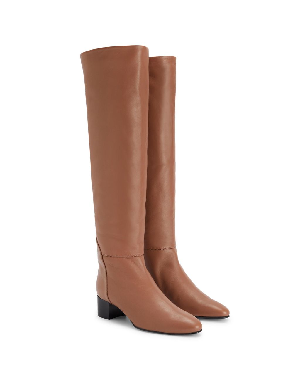 Giuseppe Zanotti Brown Clelia