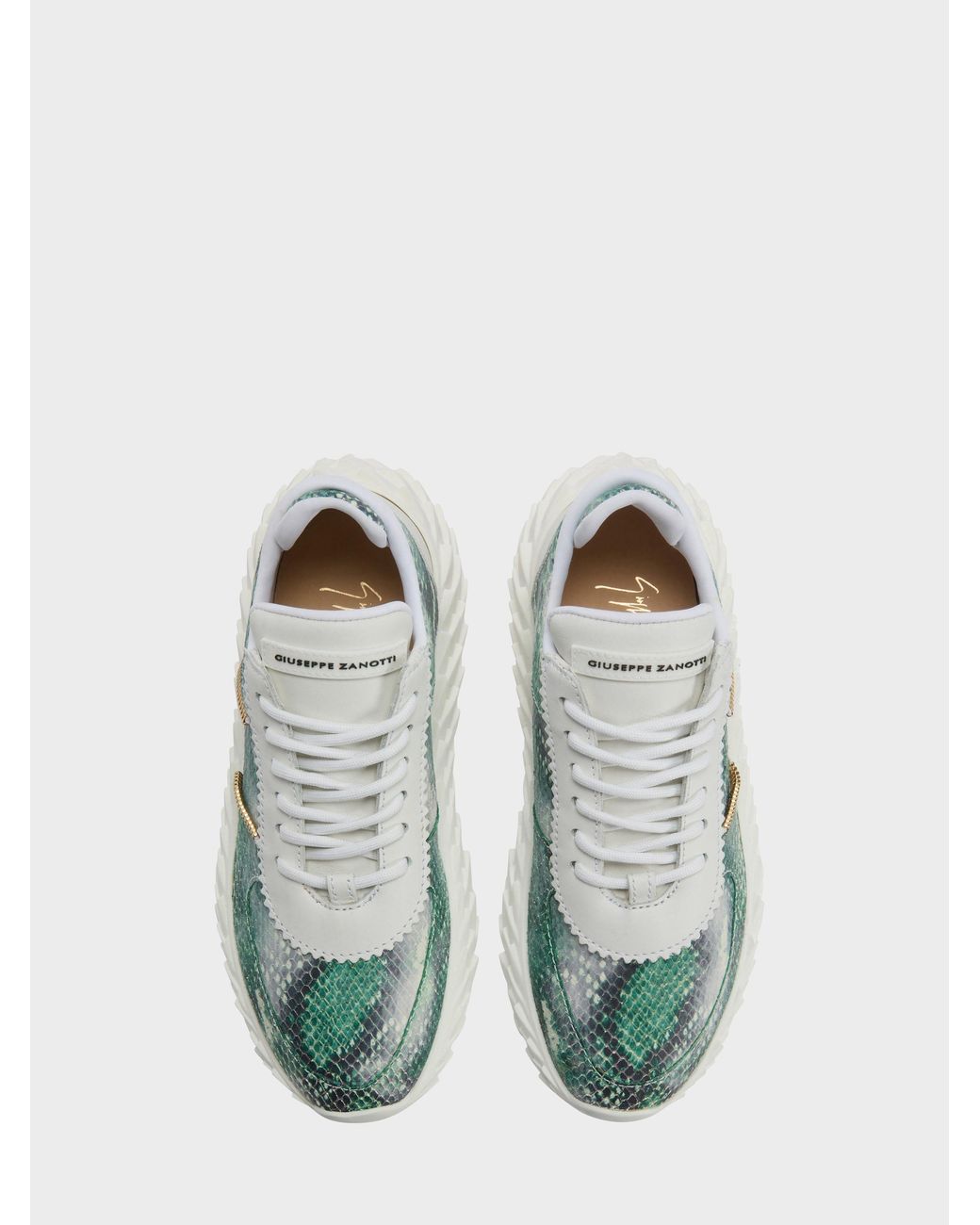 Giuseppe Zanotti Green Urchin Low Top